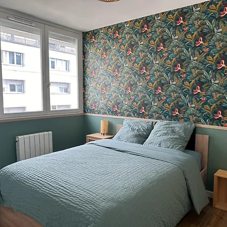 Appartement - La Jungle - Strasbourg