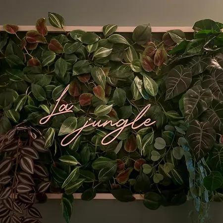 Apartment - La Jungle -